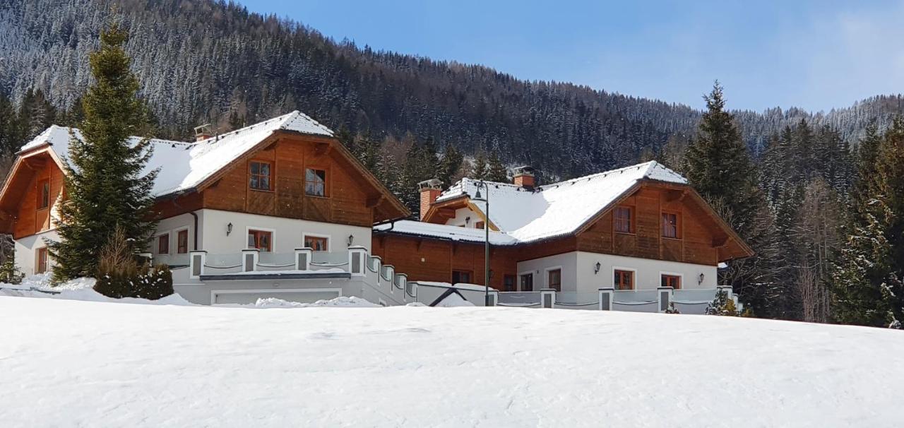 Ferienhaus Alpenblick Krakauschatten Exterior foto